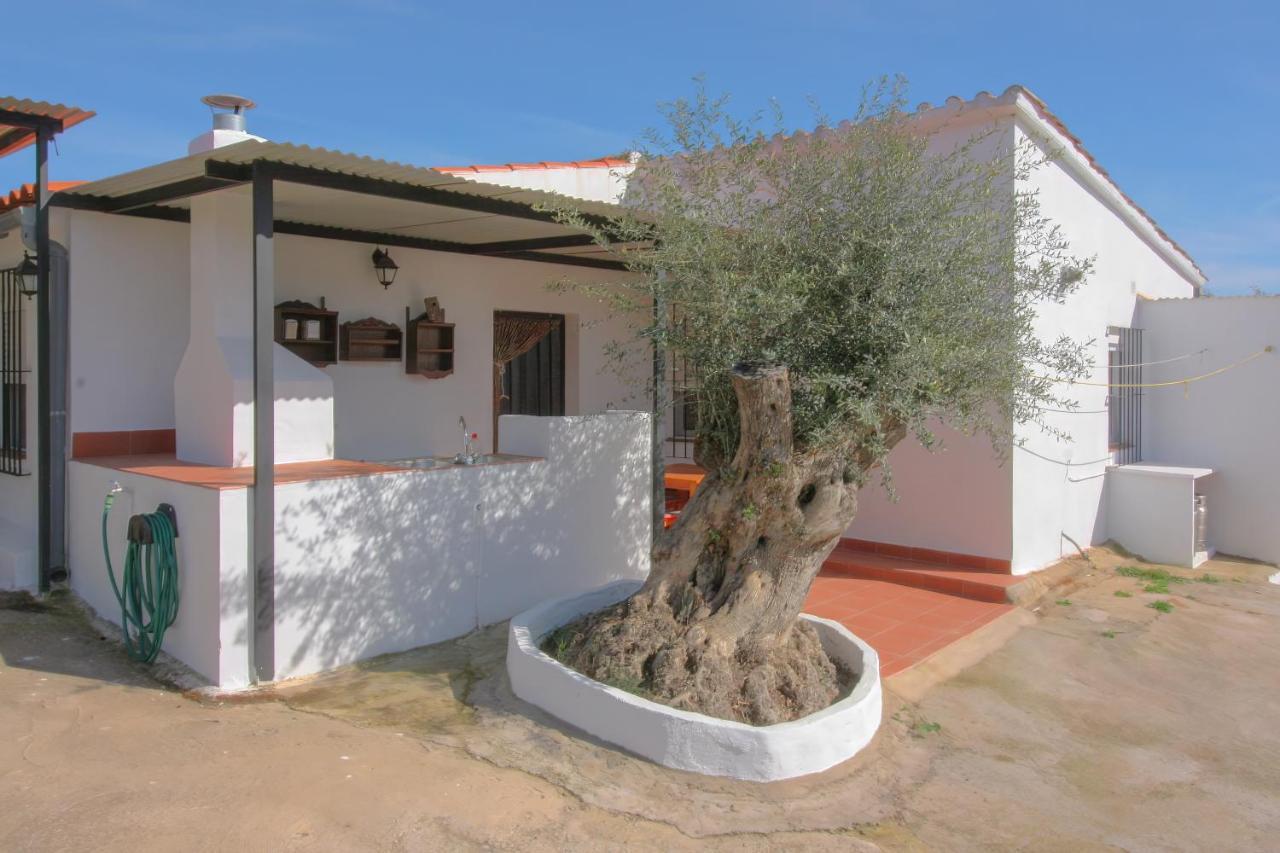 Casa Rural Los Naranjo Jerez De Los Caballeros Bagian luar foto