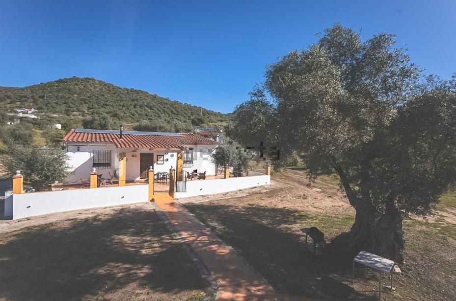Casa Rural Los Naranjo Jerez De Los Caballeros Bagian luar foto